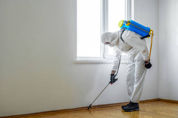 Best Pest Control for Homes  in Cleveland, OK